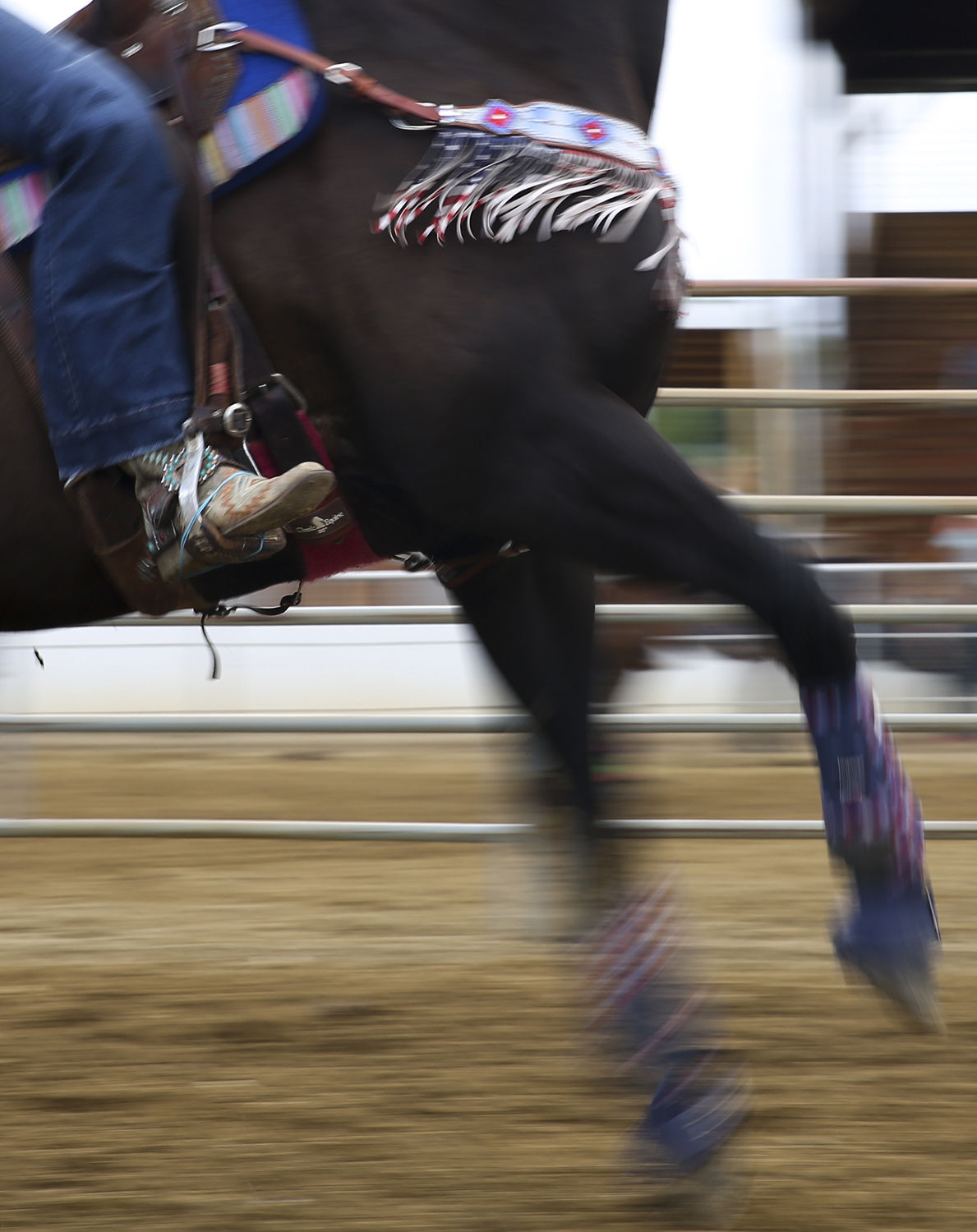 Held over Independence Day weekend, some riders chose to dress up their horses in patriotic garb